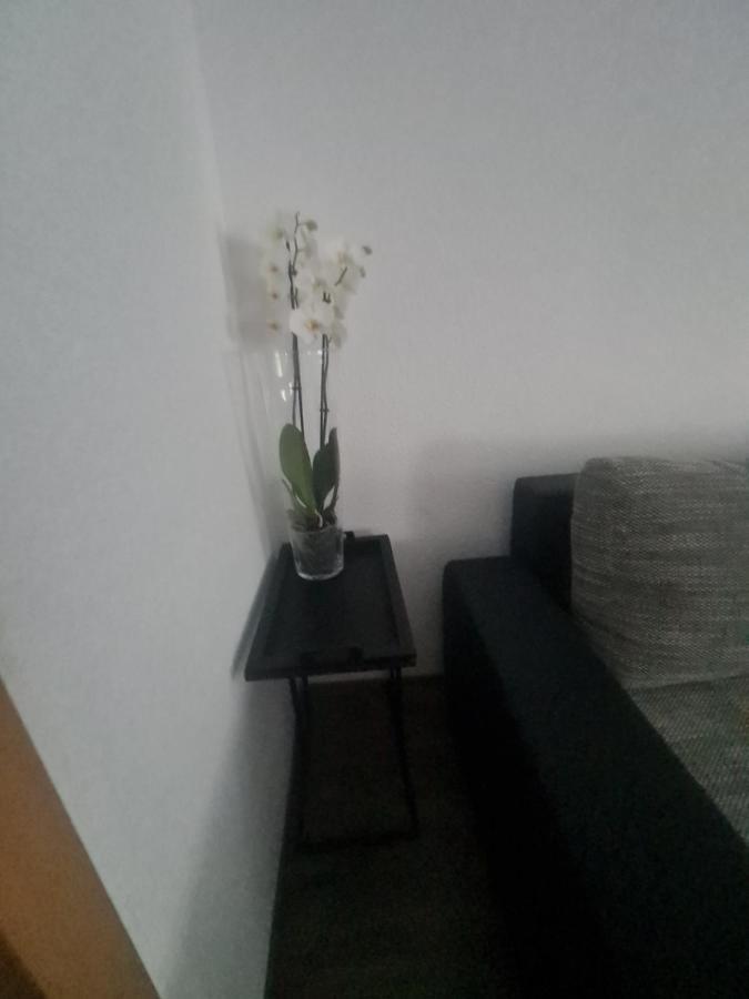 Paula Haus Trier Daire Dış mekan fotoğraf